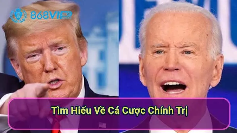 tim-hieu-ve-ca-cuoc-chinh-tri