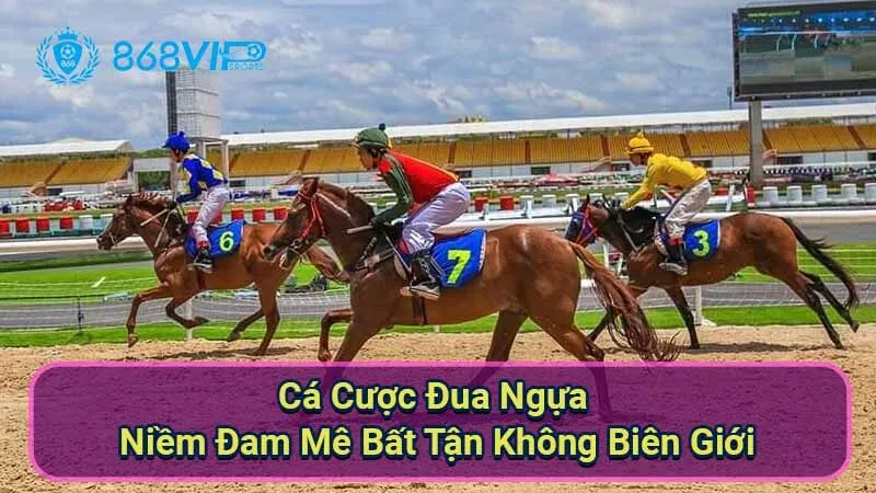 ca-cuoc-dua-ngua