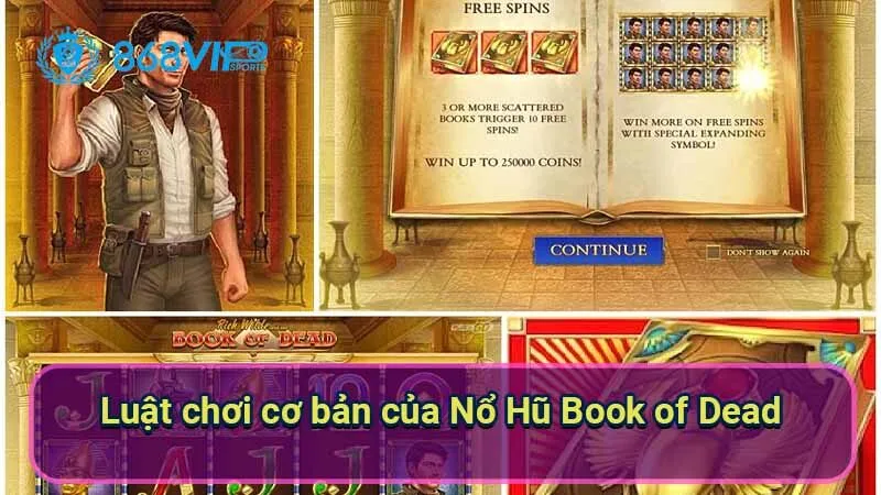 Nổ Hũ Book Of Dead - Khám Phá Một Thế Giới Huyền Bí 3 luat-choi-co-ban-cua-no-hu-book-of-dead
